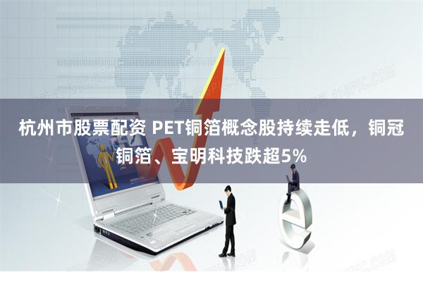 杭州市股票配资 PET铜箔概念股持续走低，铜冠铜箔、宝明科技跌超5%