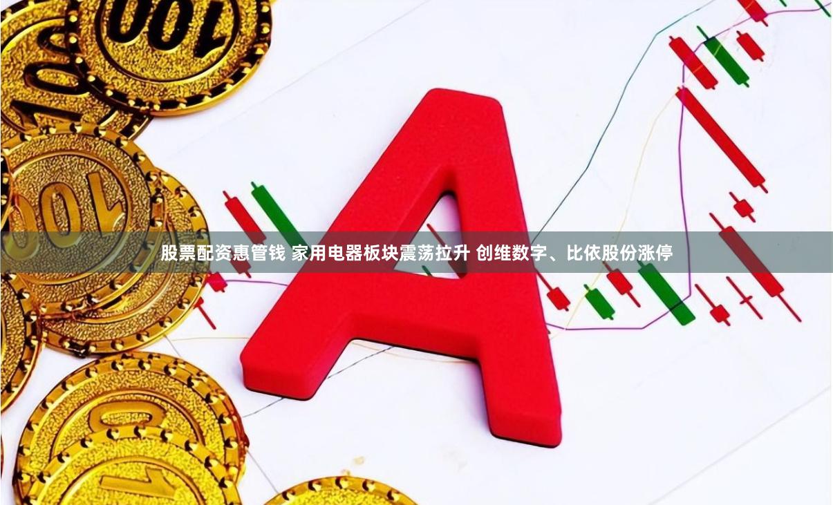 股票配资惠管钱 家用电器板块震荡拉升 创维数字、比依股份涨停