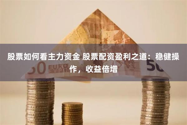 股票如何看主力资金 股票配资盈利之道：稳健操作，收益倍增