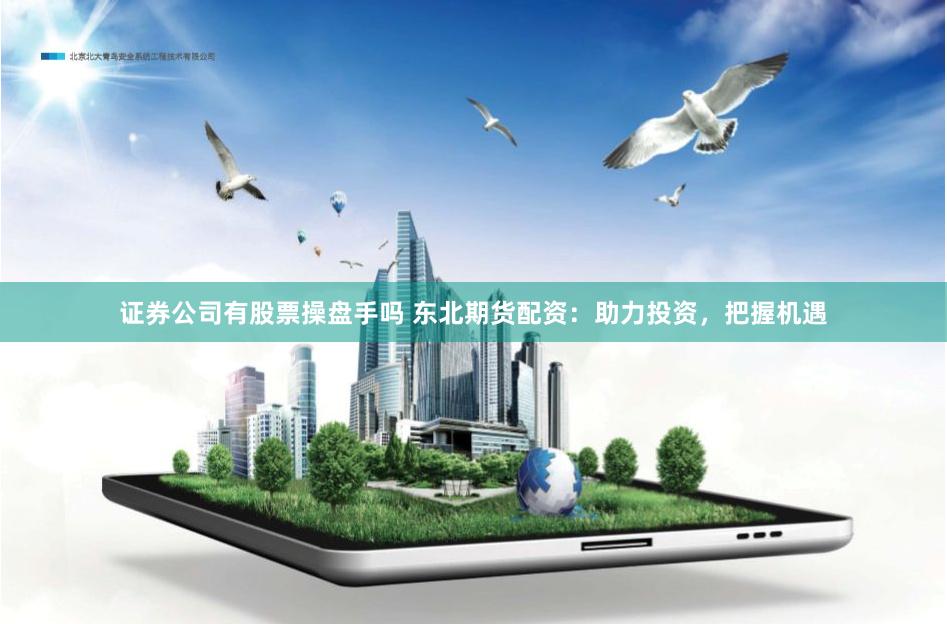 证券公司有股票操盘手吗 东北期货配资：助力投资，把握机遇